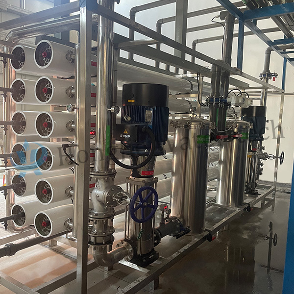 20m³/H Reverse Osmosis Pure Water System industrial water treatment equipment